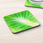 キャベツ葉 コースター (左側)