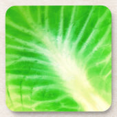キャベツ葉 コースター (正面)