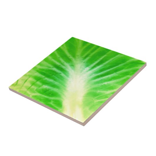 キャベツ葉 タイル (側面)