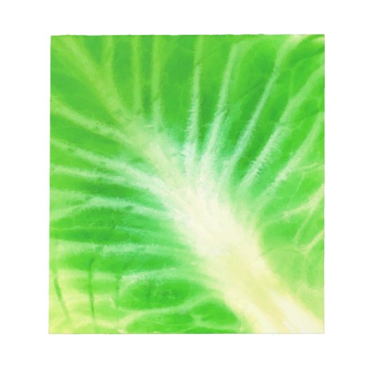 キャベツ葉 ノートパッド (正面)