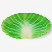 キャベツ葉 ペーパープレート (アングル)