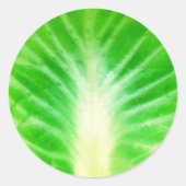 キャベツ葉 ラウンドシール (正面)