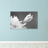 キャベツ蝶のコスモスの白黒 キャンバスプリント (インサイチュ (ウッドフロア))