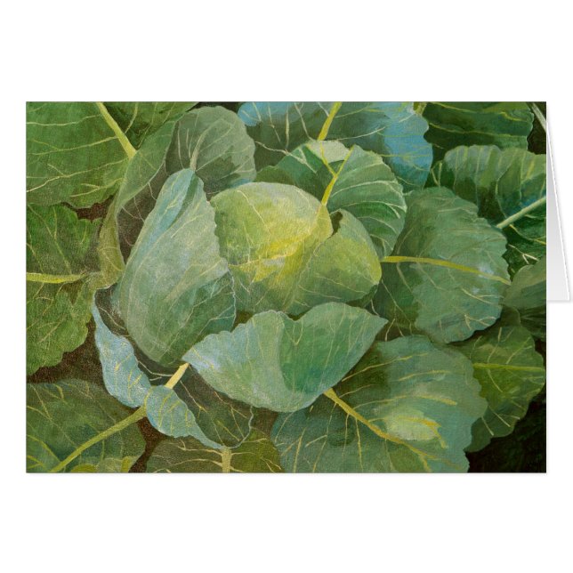 キャベツ (正面横)