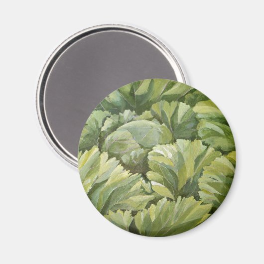 キャベツ2013 マグネット (正面/裏面)