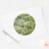 キャベツ2013 ラウンドシール (封筒)