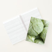 キャベツ3 ノートブック (内部)