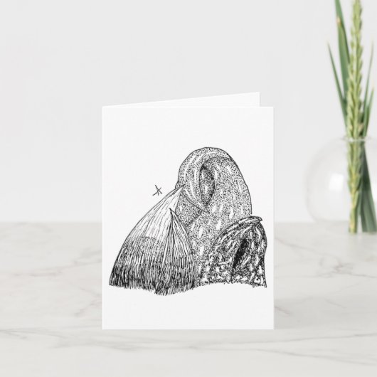 キャベツ カード (正面)