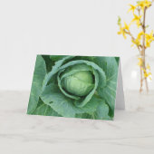 キャベツ カード (黄色い花)