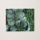 キャベツ ジグソーパズル (横)