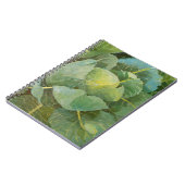 キャベツ ノートブック (左側)