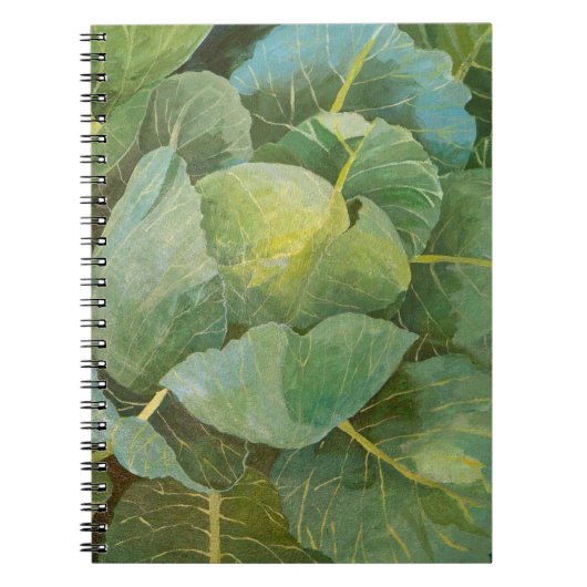 キャベツ ノートブック (正面)