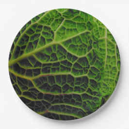 キャベツ ペーパープレート