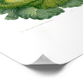 キャベツ ポスター (角)