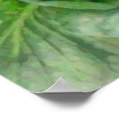 キャベツ ポスター (角)