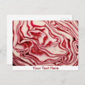 キャベツ ポストカード (正面/裏面)