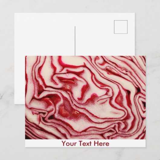 キャベツ ポストカード (正面/裏面)