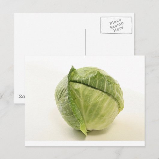 キャベツ ポストカード (正面/裏面)