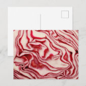 キャベツ ポストカード (正面/裏面)