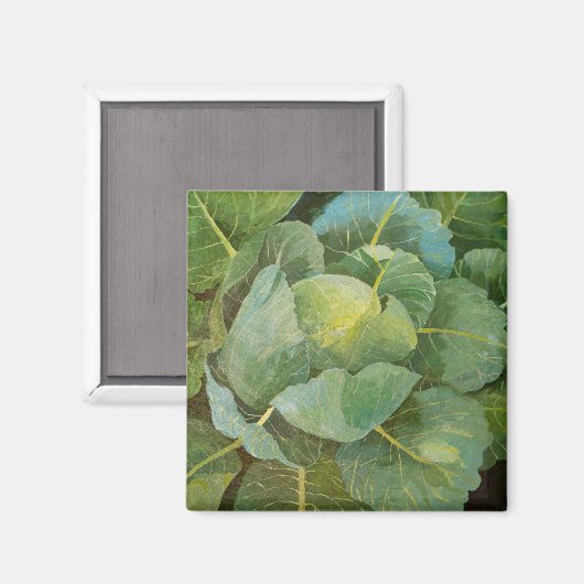 キャベツ マグネット (正面/裏面)