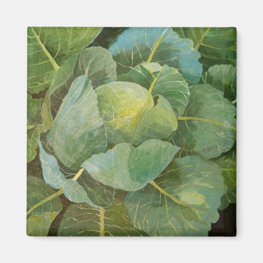 キャベツ マグネット (正面)