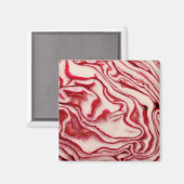 キャベツ マグネット (正面/裏面)