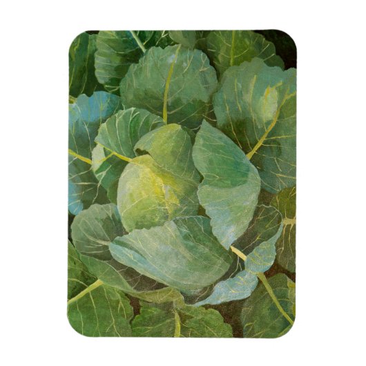 キャベツ マグネット (縦)