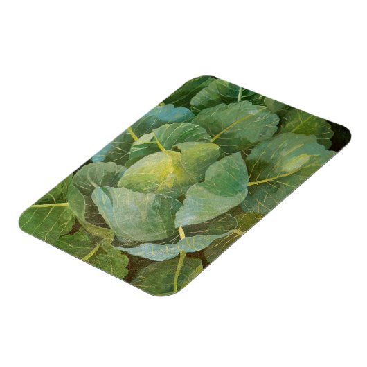 キャベツ マグネット (左側)