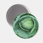 キャベツ マグネット (正面/裏面)