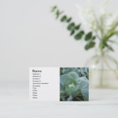 キャベツ 名刺 (スタンド正面)