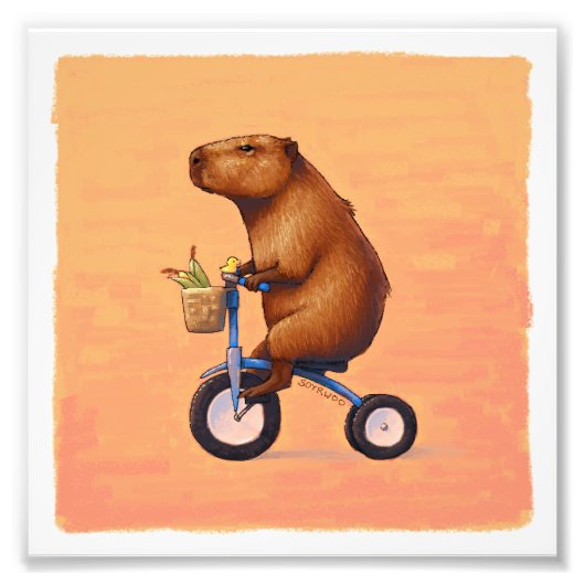 キャベラン フォトプリント            (正面)