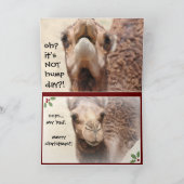 キャメルおもしろいハンプデイクリスマスカード シーズンカード (内部)