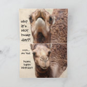 キャメルおもしろいハンプデイ誕生日カード カード (内部)