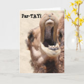 キャメルおもしろい誕生日パルタイ野生だ！ カード (黄色い花)