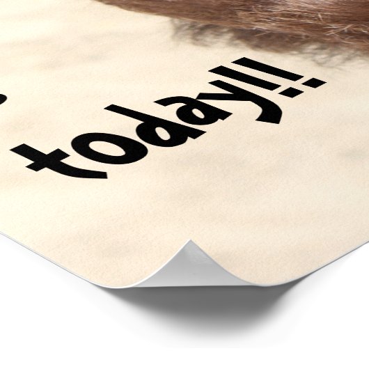 キャメルおもしろい「ハンプ・デイ」今日が何日か当ててみろ! ポスター (角)