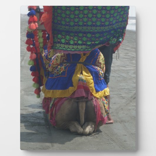 キャメルお洒落アートプリント/グラフィック フォトプラーク (正面)