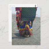 キャメルお洒落アートプリント/グラフィック ポストカード (正面/裏面)