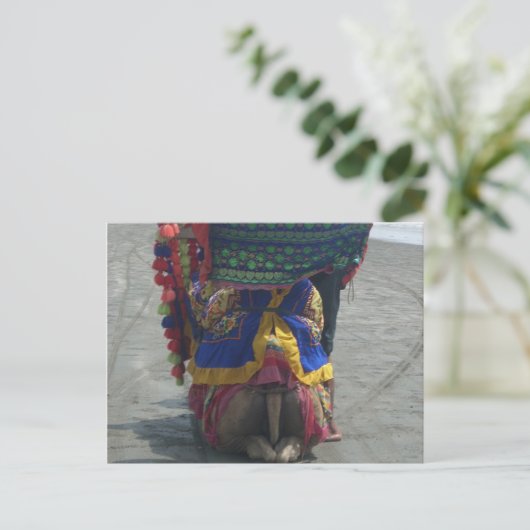 キャメルお洒落アートプリント/グラフィック ポストカード (スタンド正面)