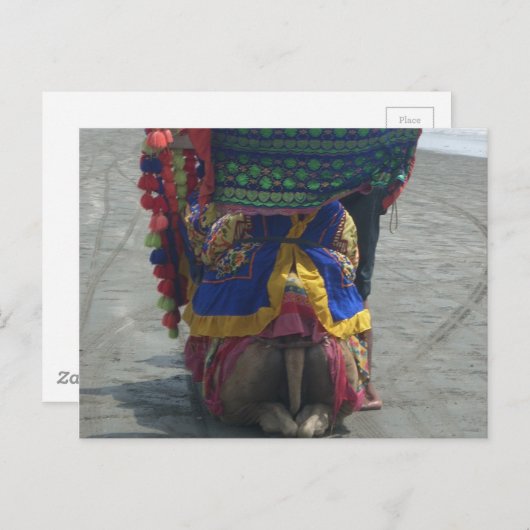 キャメルお洒落アートプリント/グラフィック ポストカード (正面/裏面)