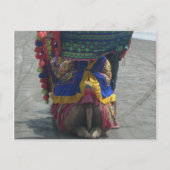 キャメルお洒落アートプリント/グラフィック ポストカード (正面)