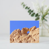 キャメルキスをするズ ポストカード (スタンド正面)