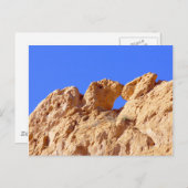 キャメルキスをするズ ポストカード (正面/裏面)