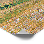 キャメルキャラバンポスター ポスター (角)