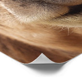 キャメルポスタープリント ポスター (角)