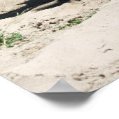 キャメルポスター ポスター (角)