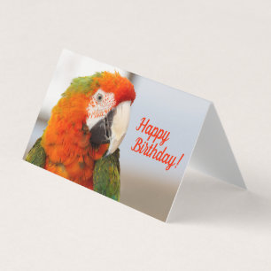 キャメロットマコーハッピーバースデーカード