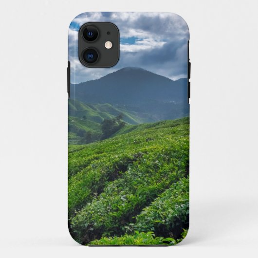 キャメロンハイランド茶園 Case-Mate iPhoneケース (裏面)