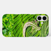 キャメロンハイランド茶園 Case-Mate iPhoneケース (裏面 (横))