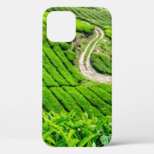 キャメロンハイランド茶園 Case-Mate iPhoneケース (裏面)