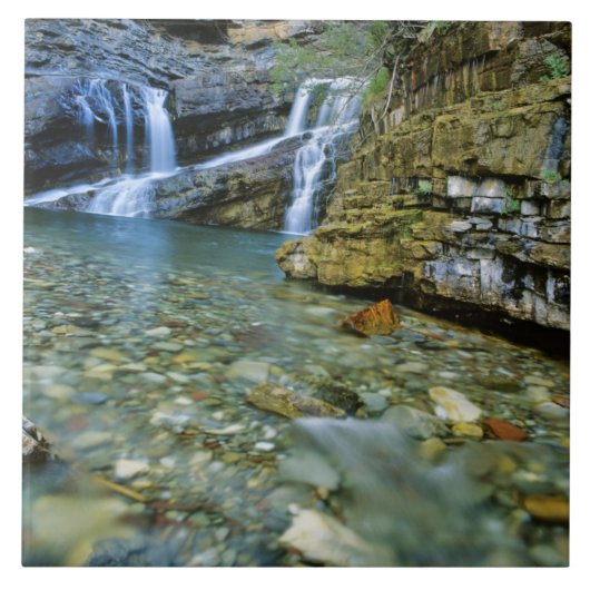 キャメロン滝ズインウォータートンレイクスナショナルパークイン タイル (正面)